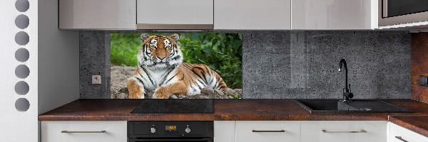 Cooker splashback Siberian tiger