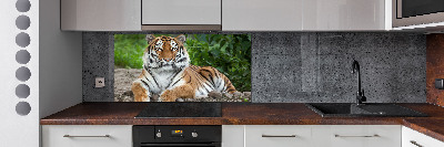 Cooker splashback Siberian tiger