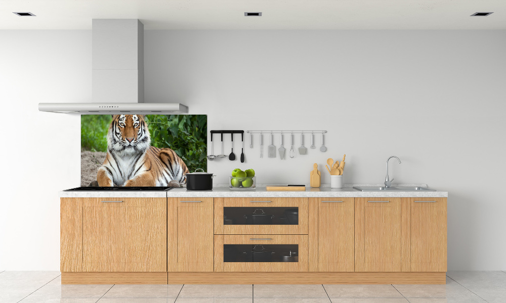 Cooker splashback Siberian tiger