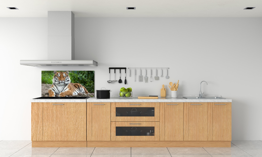 Cooker splashback Siberian tiger