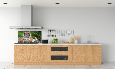 Cooker splashback Siberian tiger