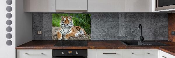 Cooker splashback Siberian tiger