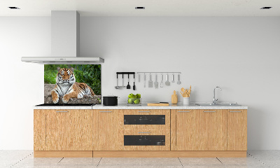 Cooker splashback Siberian tiger