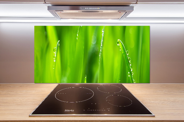 Cooker splashback Young oats