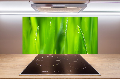 Cooker splashback Young oats