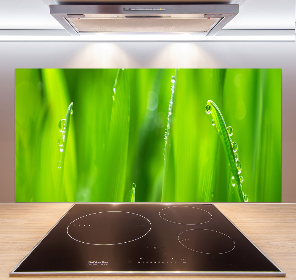 Cooker splashback Young oats