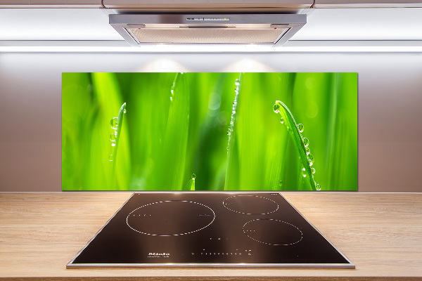 Cooker splashback Young oats