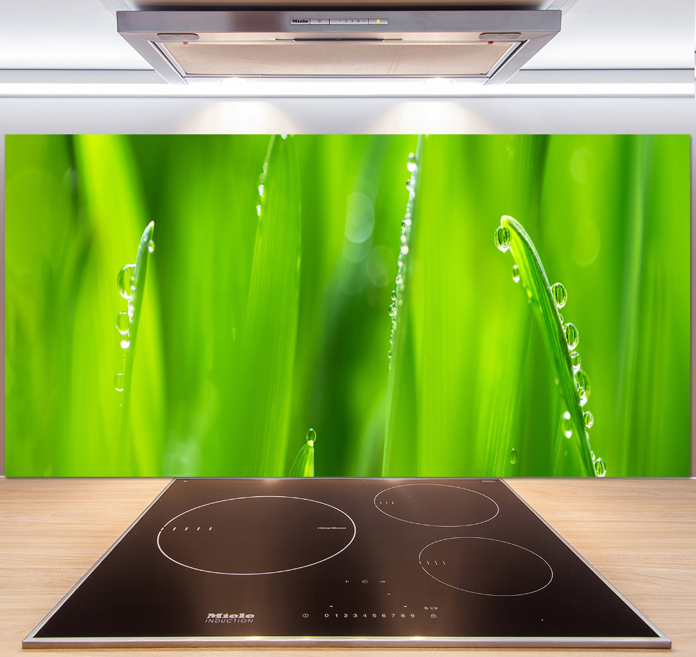 Cooker splashback Young oats