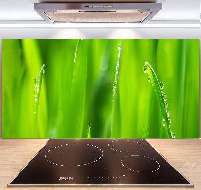 Cooker splashback Young oats