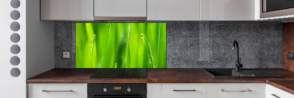 Cooker splashback Young oats