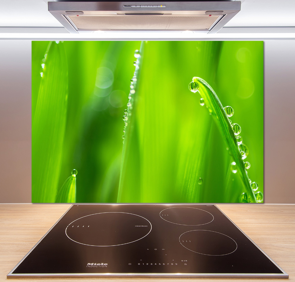 Cooker splashback Young oats