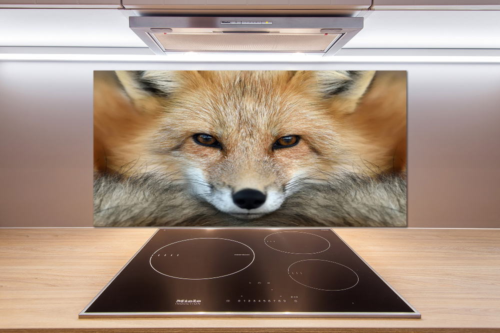 Glass splashback Fox