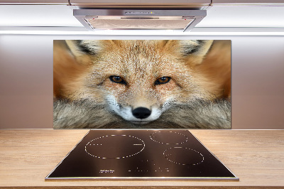 Glass splashback Fox