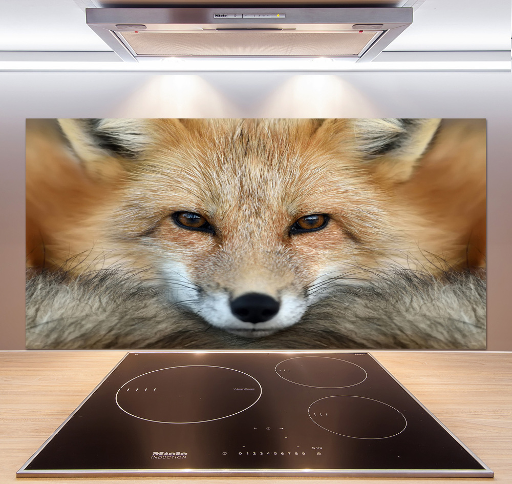 Glass splashback Fox