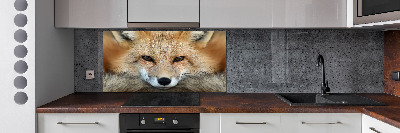 Glass splashback Fox