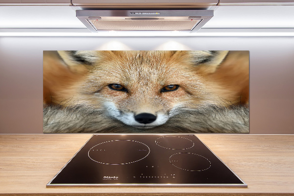 Glass splashback Fox