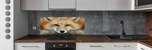 Glass splashback Fox