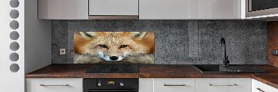 Glass splashback Fox