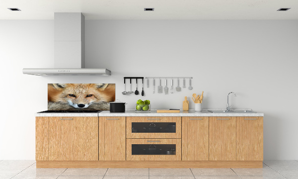 Glass splashback Fox