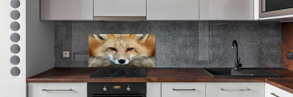 Glass splashback Fox