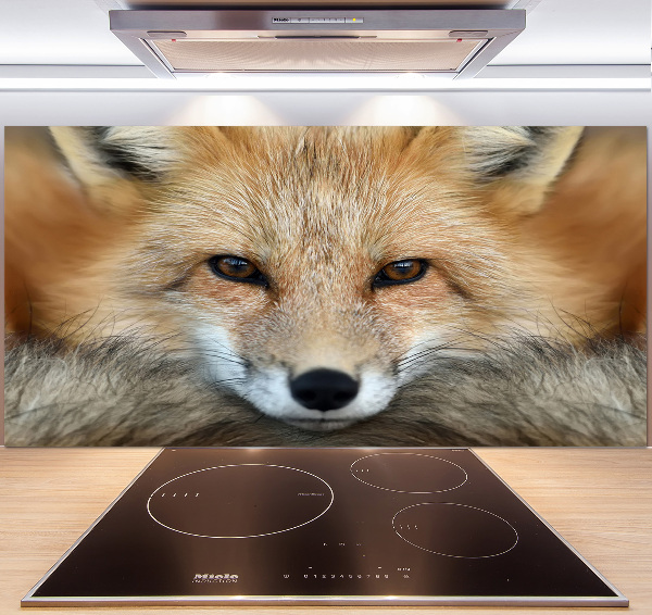 Glass splashback Fox