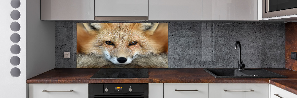 Glass splashback Fox