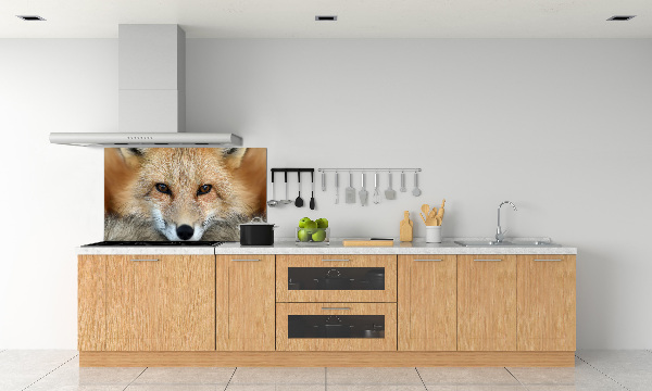 Glass splashback Fox