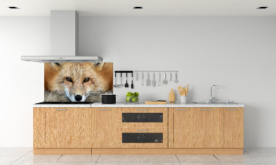 Glass splashback Fox