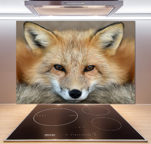 Glass splashback Fox