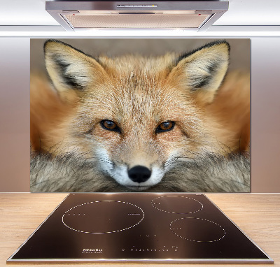 Glass splashback Fox