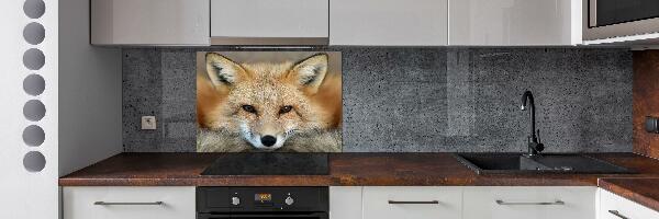 Glass splashback Fox