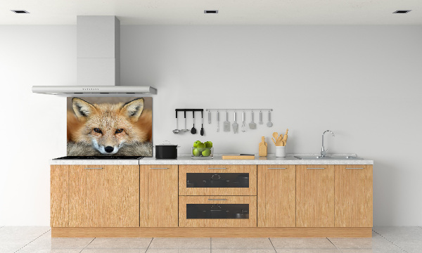 Glass splashback Fox