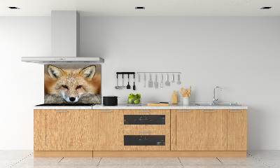 Glass splashback Fox