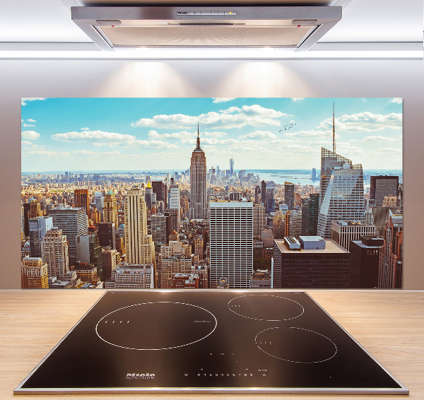 Cooker splashback New York Bird Lot