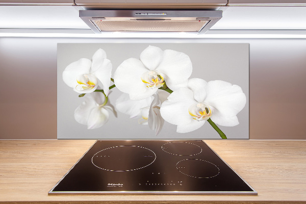 Cooker splashback Orchid