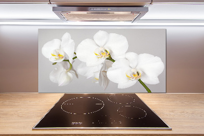 Cooker splashback Orchid