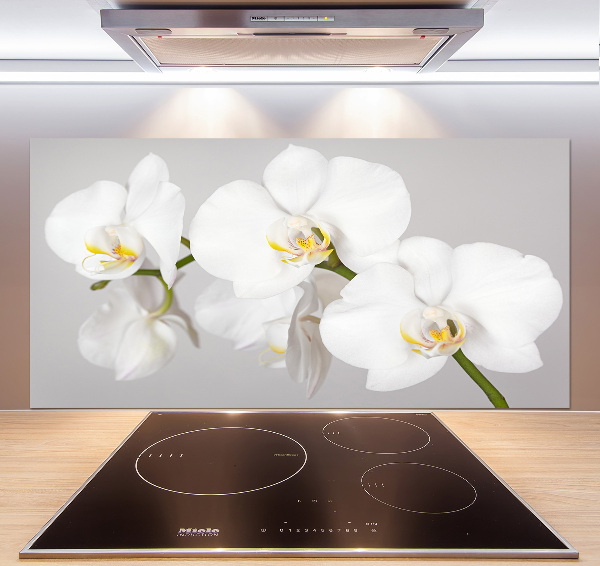 Cooker splashback Orchid