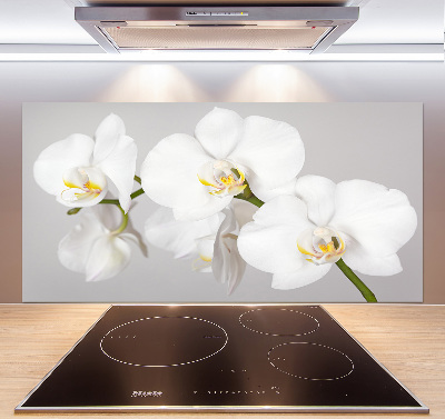 Cooker splashback Orchid