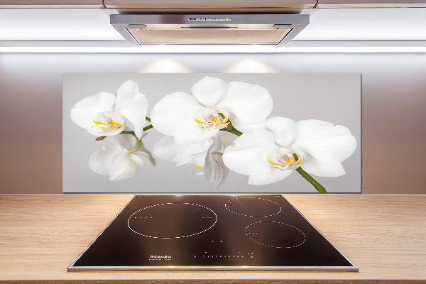 Cooker splashback Orchid