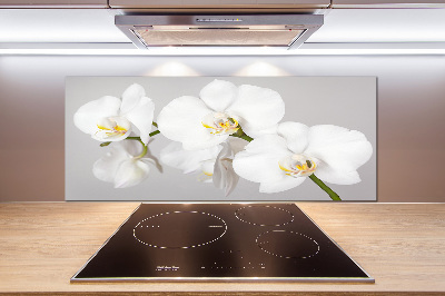 Cooker splashback Orchid