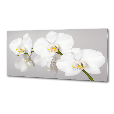 Cooker splashback Orchid