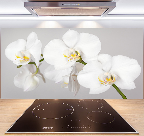 Cooker splashback Orchid