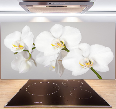 Cooker splashback Orchid