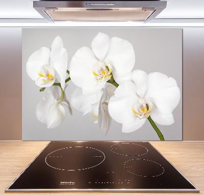 Cooker splashback Orchid