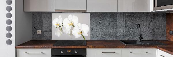 Cooker splashback Orchid