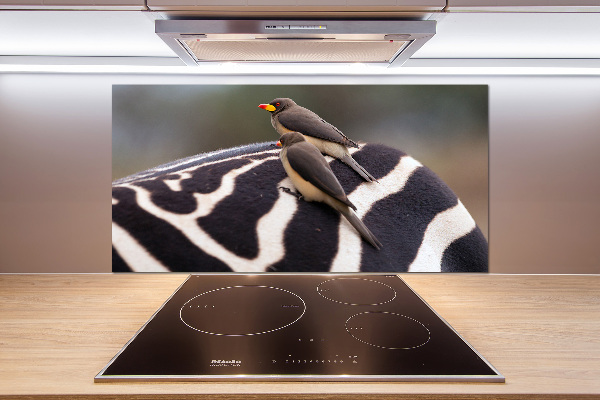 Kitchen splashback Birds and zebra