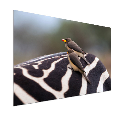 Kitchen splashback Birds and zebra