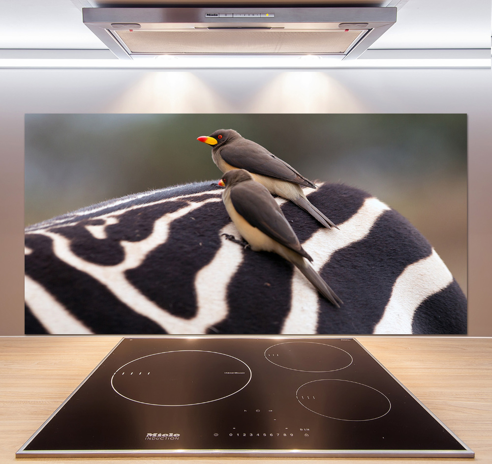 Kitchen splashback Birds and zebra