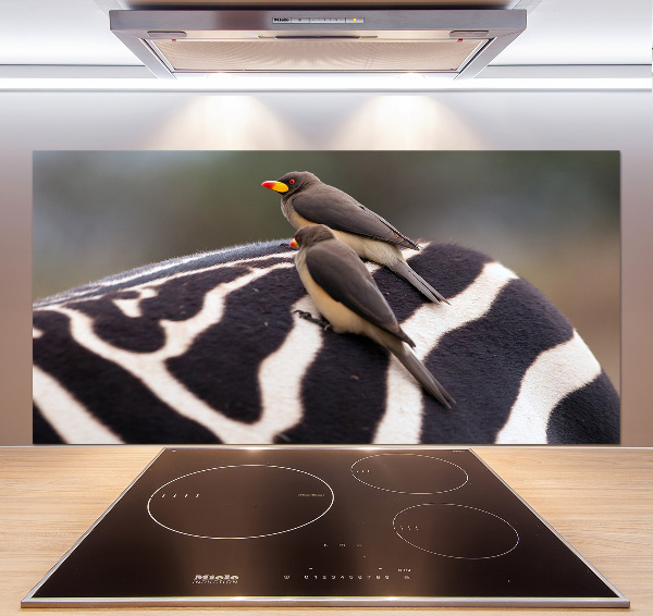 Kitchen splashback Birds and zebra