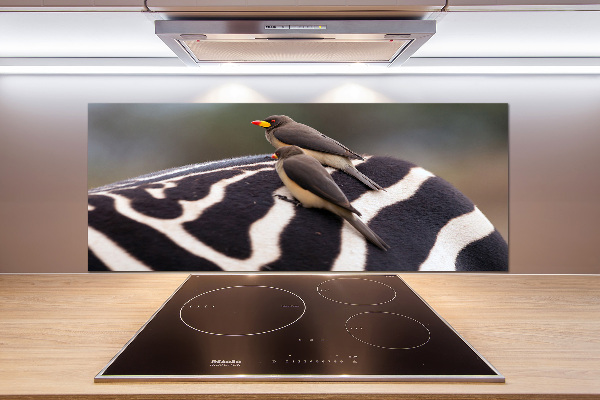 Kitchen splashback Birds and zebra